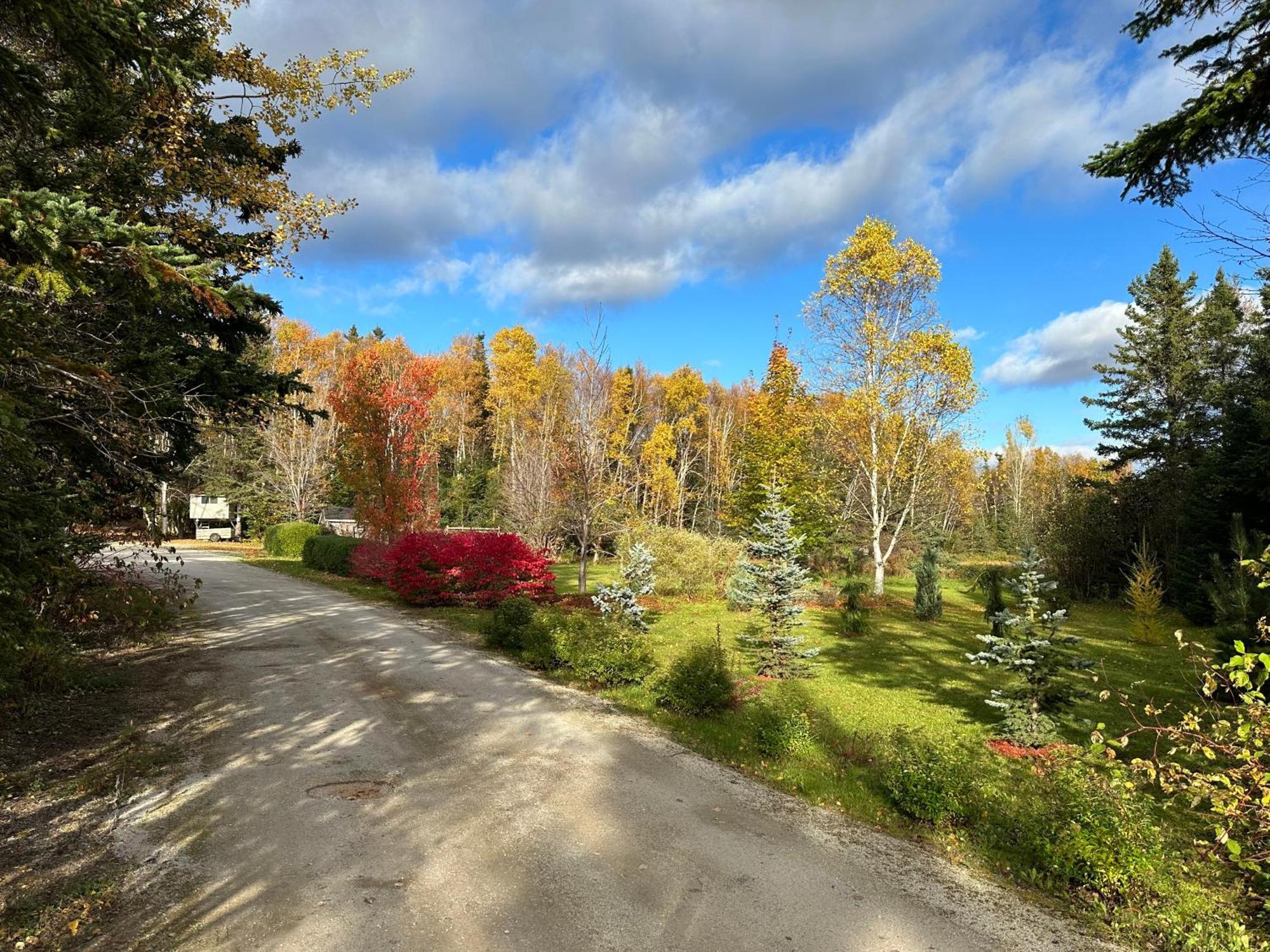 Eden Estate B&B Reidville Exteriör bild